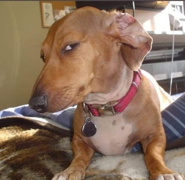 _ (3)-Mar-04-2026-03-32-42-2076-AM