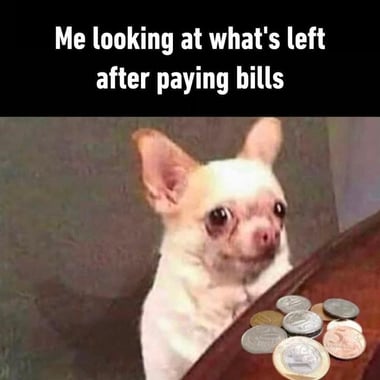bills-meme