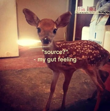 gut-feel-source-meme