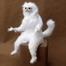 how-meme-confused