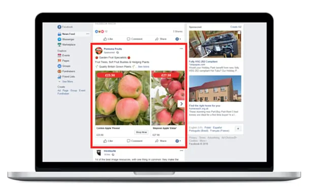A Facebook desktop layout with a sponsored post highlighted in the news feed and paid units running down the right column