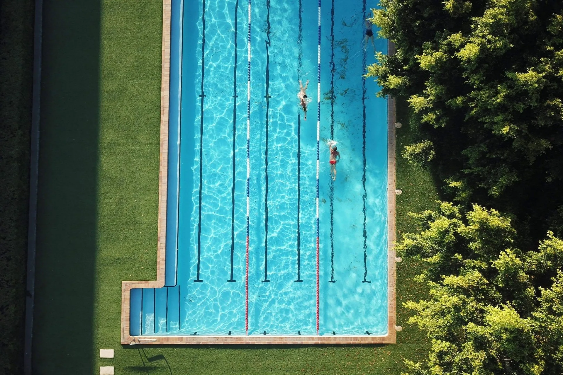 Aerial view of an outdoor lap pool with lane ropes and a few swimmers, lawn on one side and trees on the other