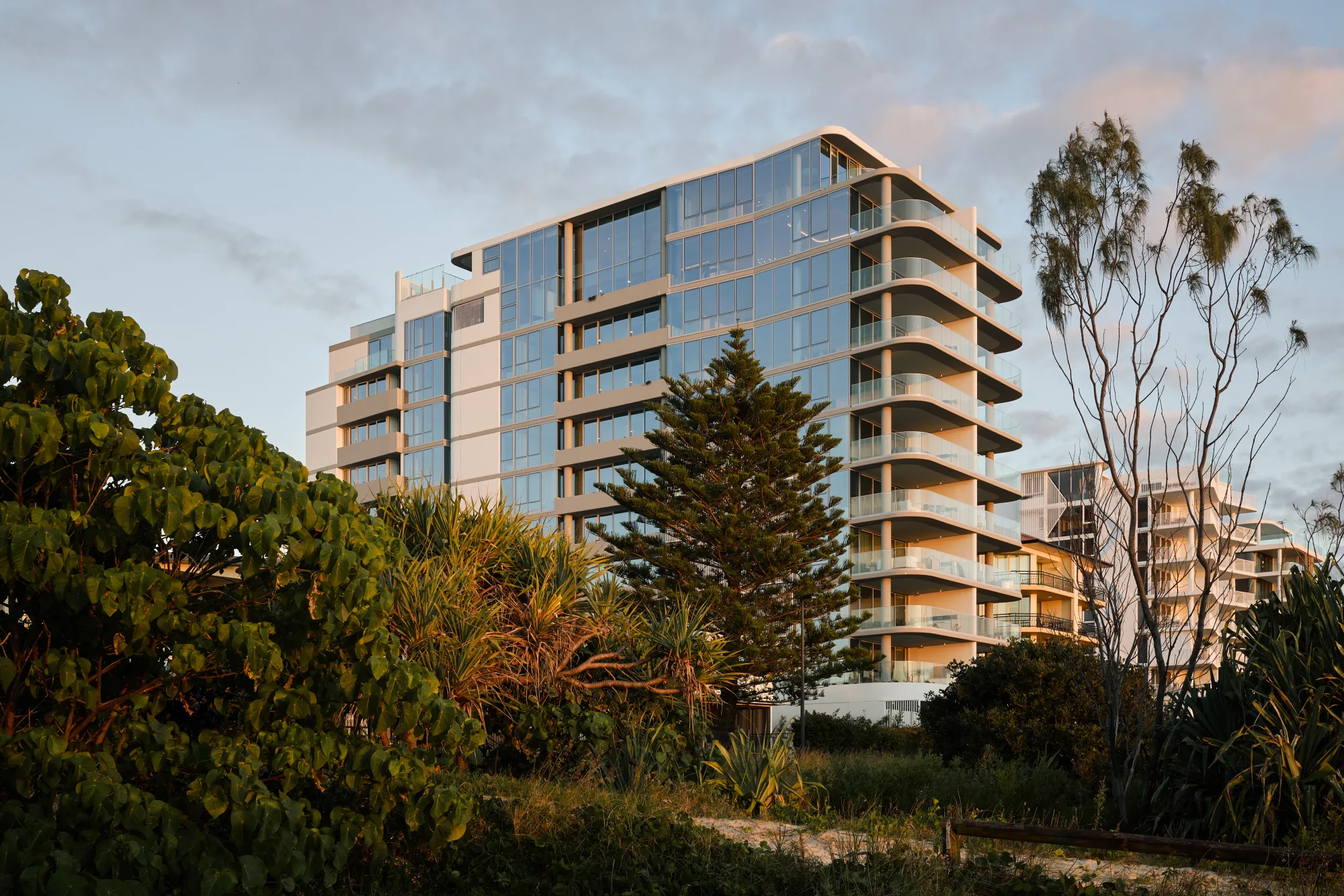 A white and glass apartment tower in early light, seen over coastal trees and a Norfolk pine